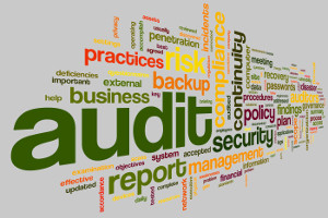 Audit and compliance in word tag cloud on white